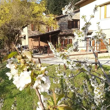 Le Isole