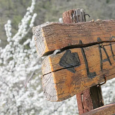 Le Isole *