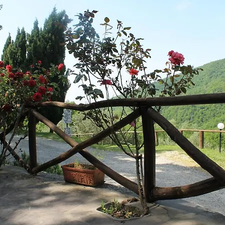 Apartment Le Isole